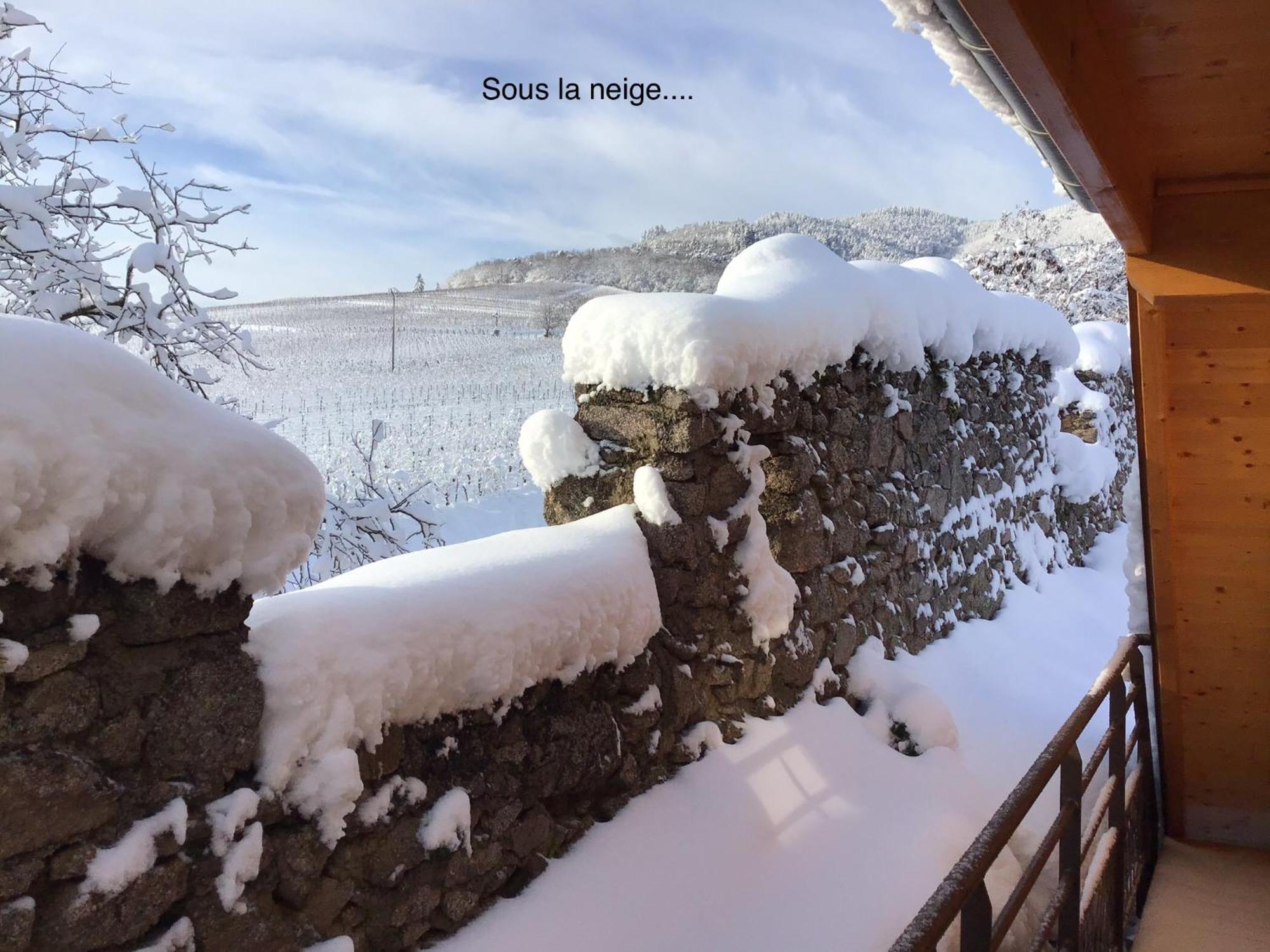 Hotel Le Refuge Du Rempart Dambach Camera foto